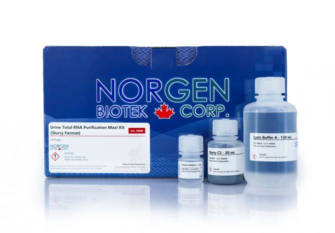 Urine Total RNA Purification Maxi Kit Dx (Slurry Format)